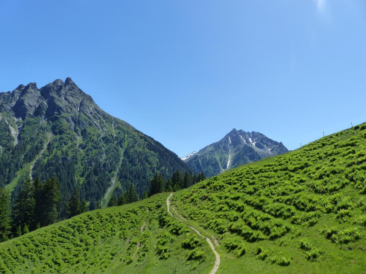 Alpinresortmontafon Garni ガルゲレン エクステリア 写真